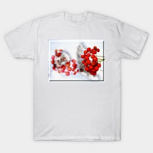 Snowy Red Berries T-Shirt